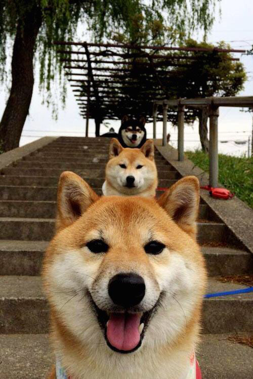 乐鱼体育官网优惠-运动员训练内容加入防伤与拉伸专项模块，常见运动员损伤的预防与治疗